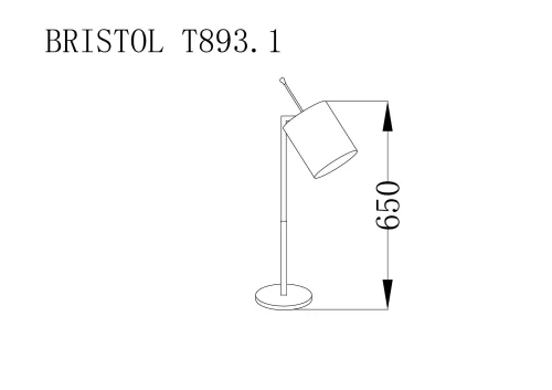 Настольная лампа BRISTOL T893.1 Lucia Tucci коричневая 1 лампа, основание хром металл в стиле современный  фото 3
